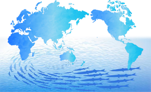 四国年金プランニング｜マネープロトレーナーの年金ライフプランニング